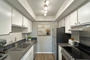 Kitchen 102 Furman 08 Asheville Arms