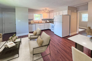 Living room 30 Allen 501 South Asheville Commons