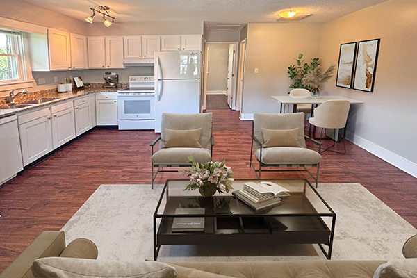 Living room 30 Allen 501 South Asheville Commons