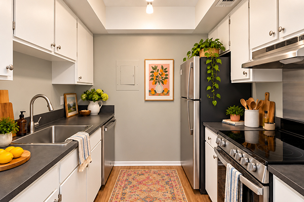 Kitchen 102 Furman 16 Asheville Arms